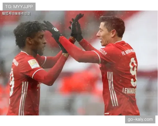 深度：德甲青年联赛引入的运动表现与学术成绩双轨监测平台